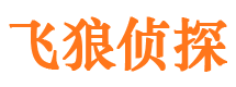 和林格尔侦探公司